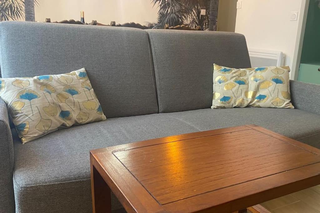 * Logement Haut De Gamme Centre * ペルピニャン エクステリア 写真