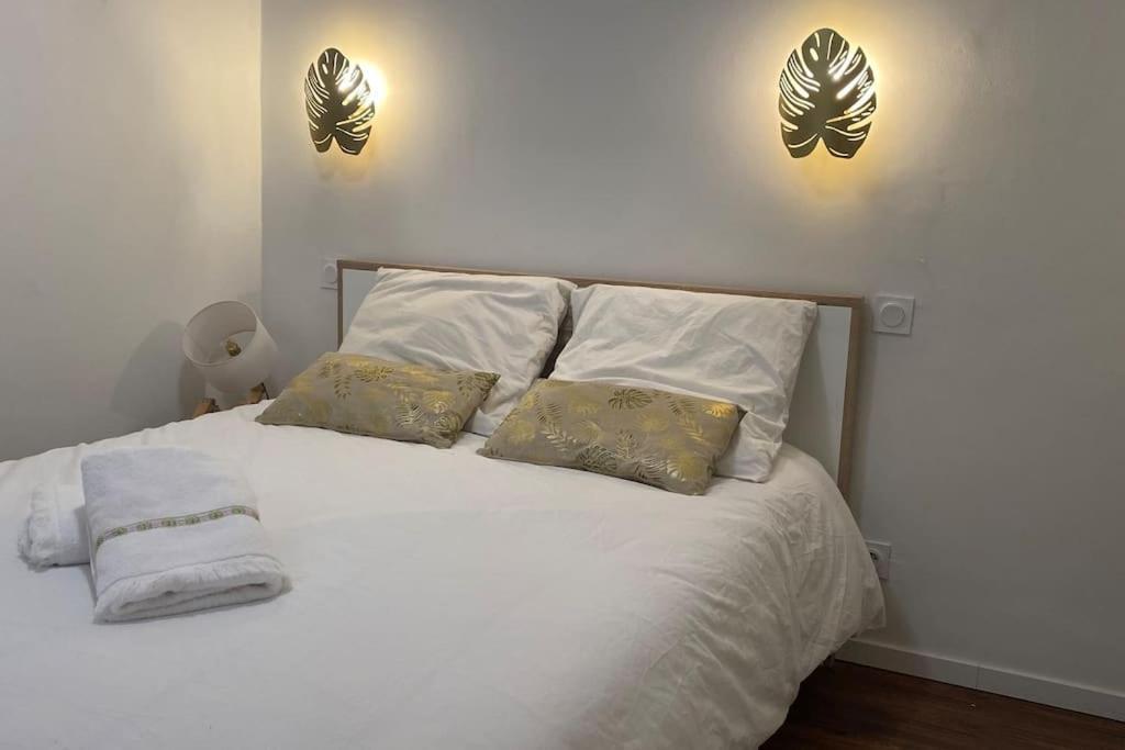 * Logement Haut De Gamme Centre * ペルピニャン エクステリア 写真