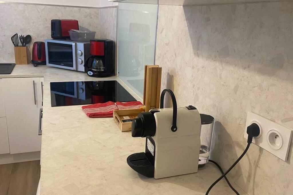 * Logement Haut De Gamme Centre * ペルピニャン エクステリア 写真